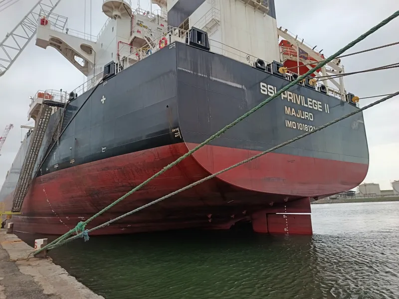 Operazioni di scarico merci e monitoraggio logistico globale